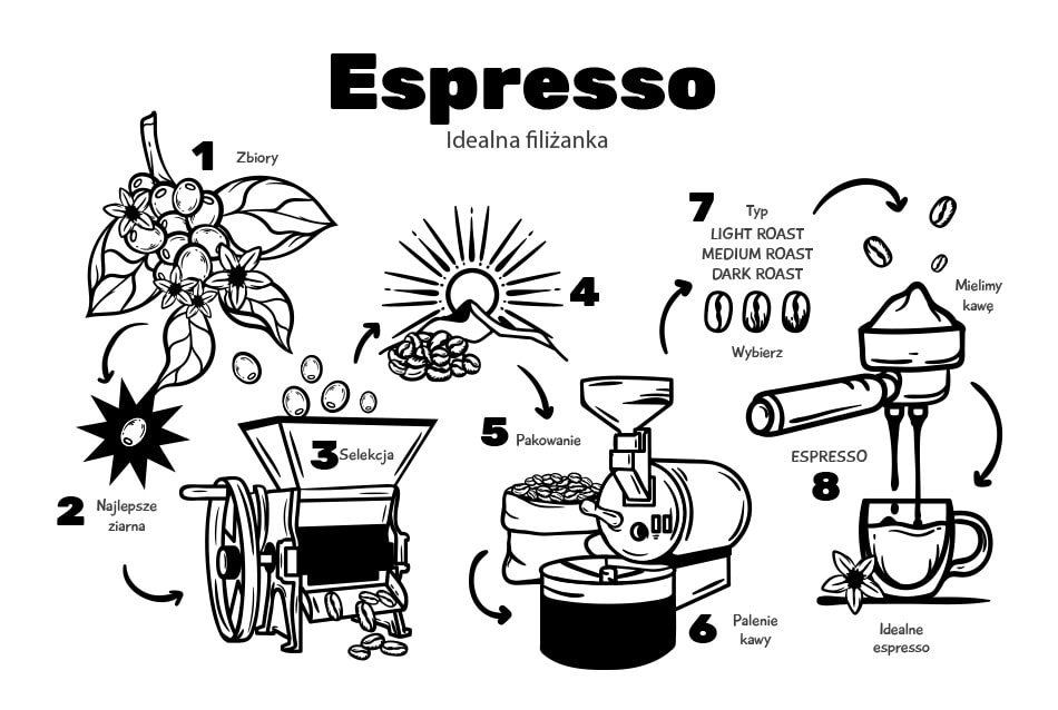 Jak powstaje idealne espresso